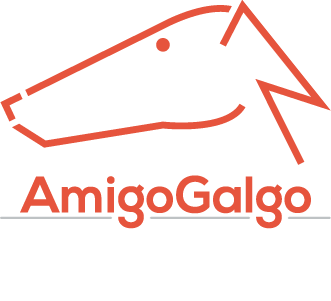 amigogalgo.org